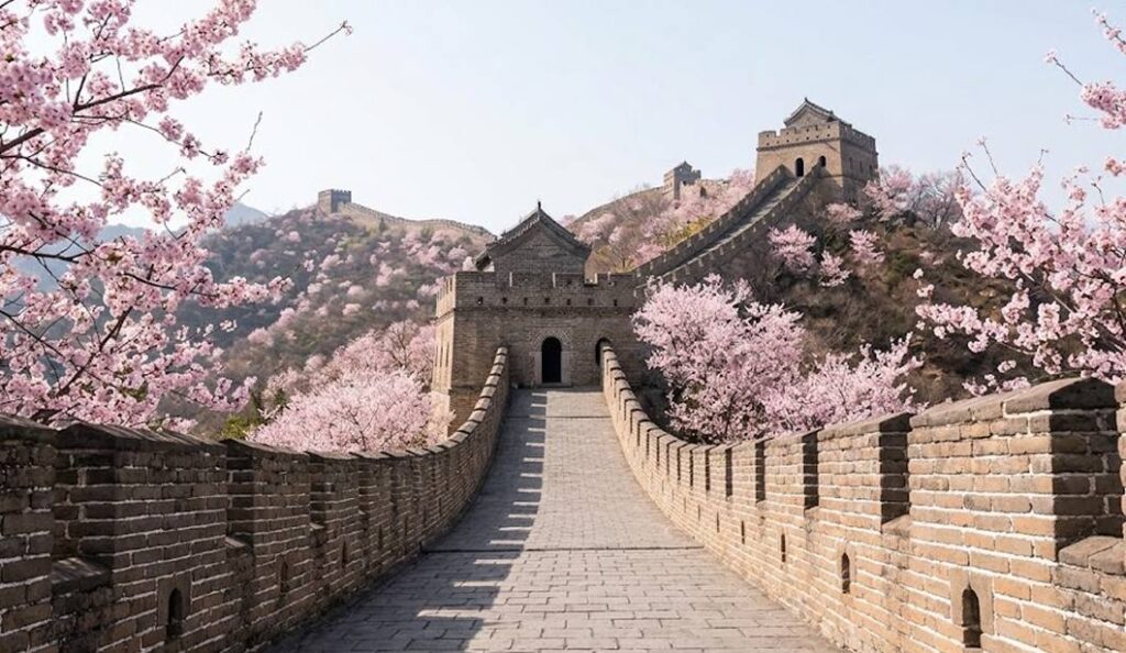 중국 입국 거절 없는 성공적 여행