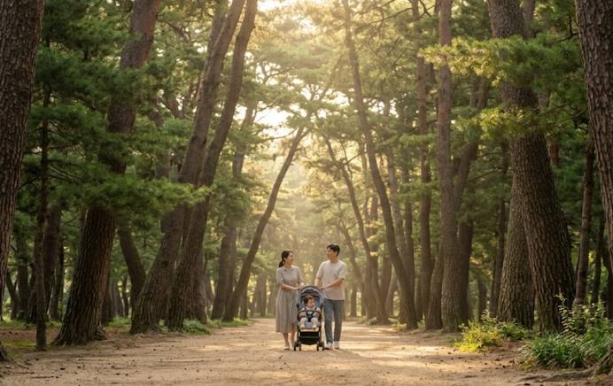 아이와 화성 융건릉의 푸른 소나무 산책길을 유모차와 함께 여유롭게 거니는 가족의 모습