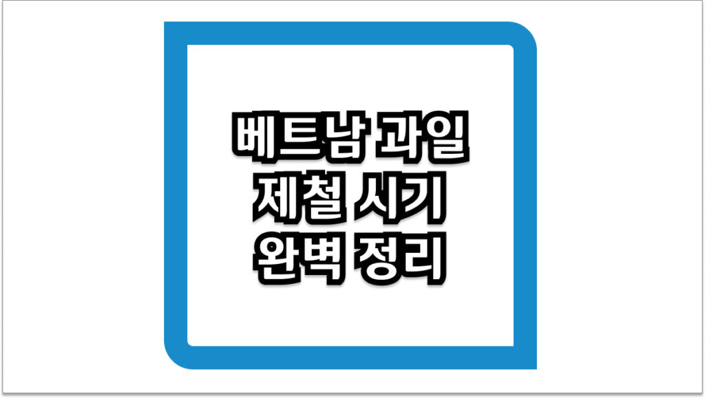 베트남 과일 제철 시기 완벽 정리 월별 맛있는 열대과일
